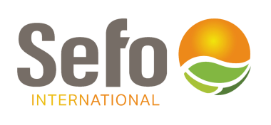 Sefo International